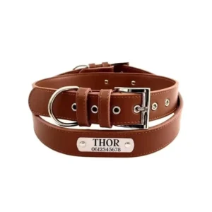 Honden halsband met naam leer